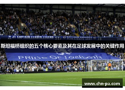斯坦福桥组织的五个核心要素及其在足球发展中的关键作用 斯坦福桥组织的五个核心要素及其在足球发展中的关键作用