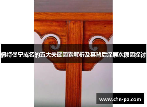 佩特曼宁成名的五大关键因素解析及其背后深层次原因探讨 佩特曼宁成名的五大关键因素解析及其背后深层次原因探讨