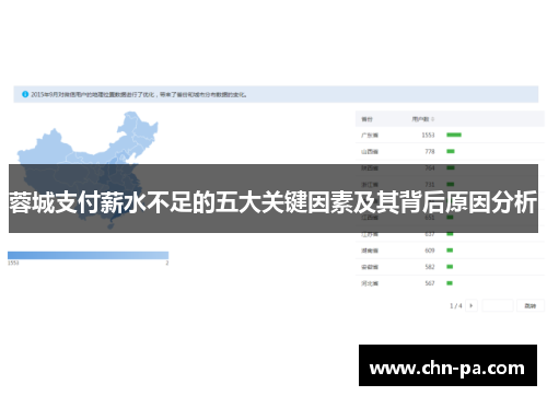 蓉城支付薪水不足的五大关键因素及其背后原因分析 蓉城支付薪水不足的五大关键因素及其背后原因分析