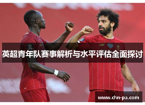英超青年队赛事解析与水平评估全面探讨