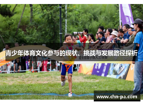 青少年体育文化参与的现状、挑战与发展路径探析 青少年体育文化参与的现状、挑战与发展路径探析