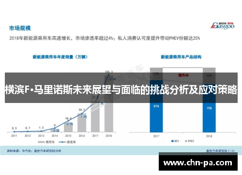 横滨F·马里诺斯未来展望与面临的挑战分析及应对策略 横滨F·马里诺斯未来展望与面临的挑战分析及应对策略